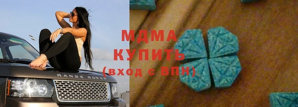 индика Алзамай