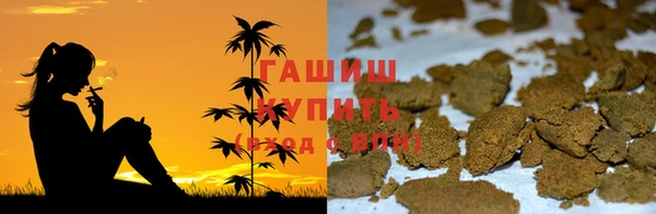 индика Алзамай
