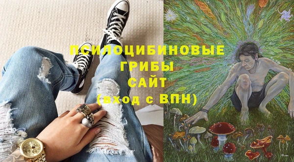 спиды Алексин