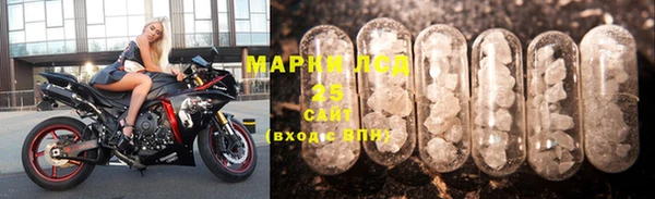 индика Алзамай
