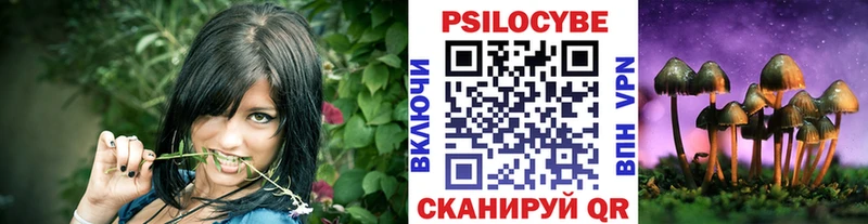 Псилоцибиновые грибы прущие грибы  Купить где  Улан-Удэ 